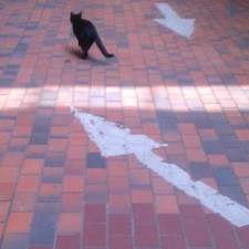 Avatar for shkh from gravatar.com