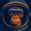 Avatar for netspi from gravatar.com