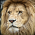 Avatar for mavam from gravatar.com