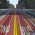 Avatar for porterpan from gravatar.com