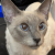 Avatar for Jynxzzz from gravatar.com