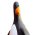 Avatar for sergkr from gravatar.com