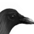 Avatar for augustuswm from gravatar.com