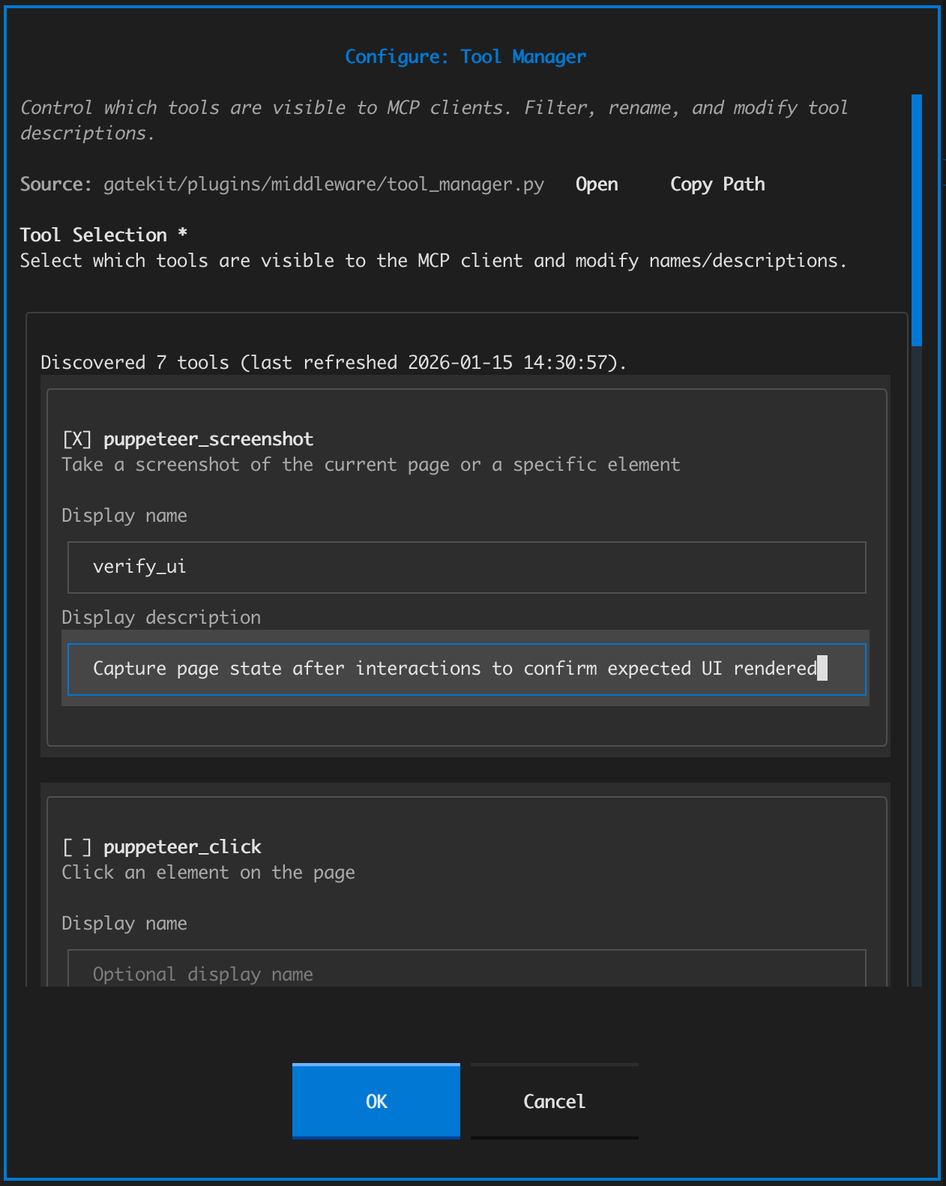 Tool Manager configuration modal