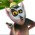 Avatar for bachiraoun from gravatar.com