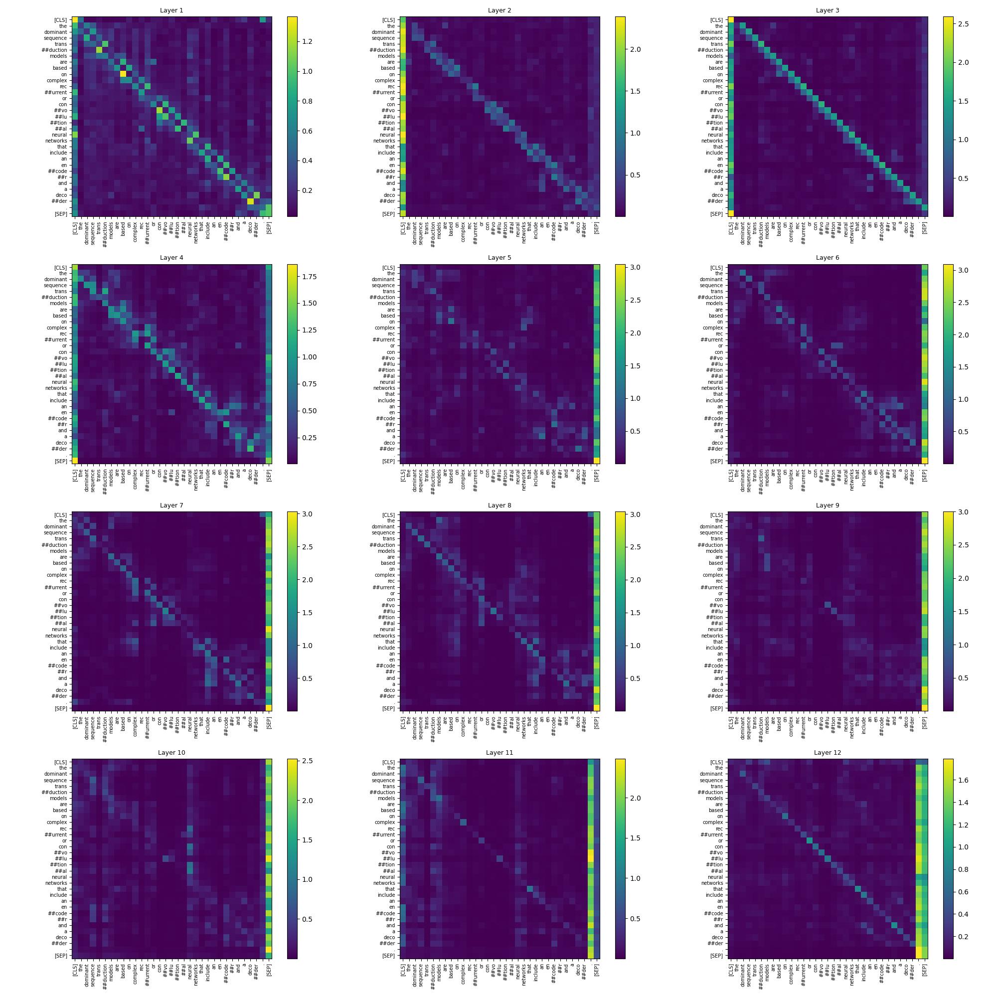 normalized token to token