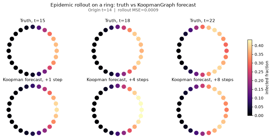 Epidemic truth versus KoopmanGraph forecast on a ring graph
