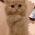 Avatar for DoyunShin from gravatar.com