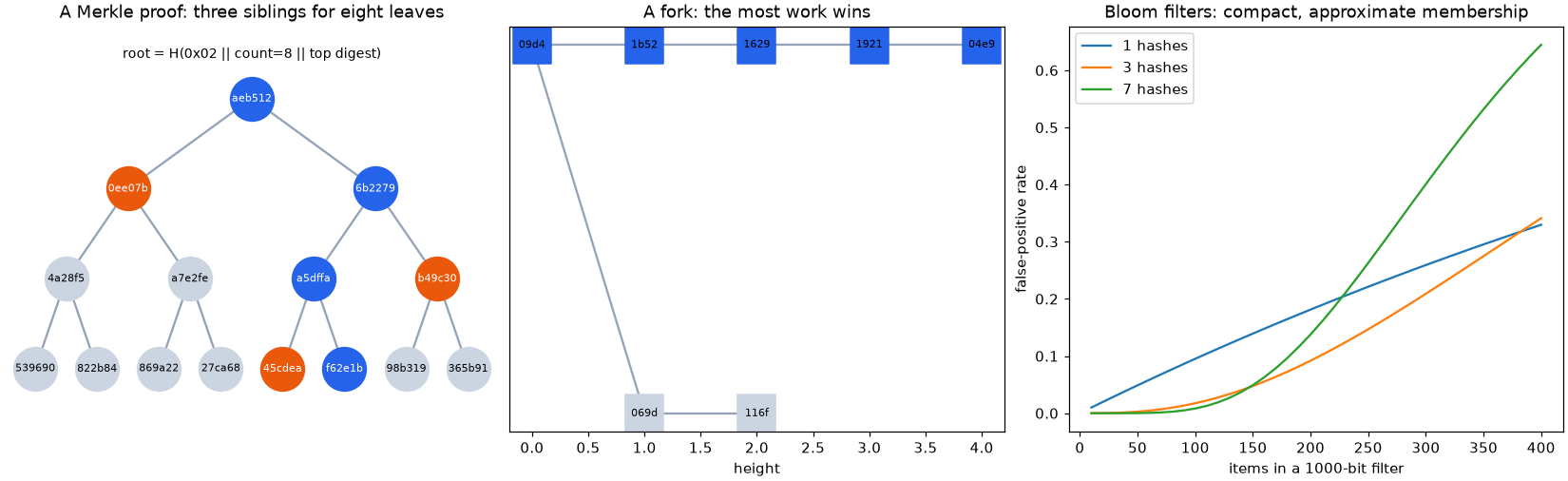 A Merkle proof, a fork in a block tree, and Bloom-filter false-positive rates