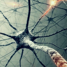 Avatar for Peter Morgan from gravatar.com