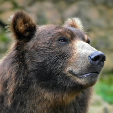 Avatar for Evgeni Kunev from gravatar.com