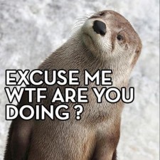 Avatar for Christina D'Astolfo from gravatar.com