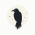 Avatar for synapti from gravatar.com