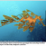 Avatar for hp4k1h5 from gravatar.com