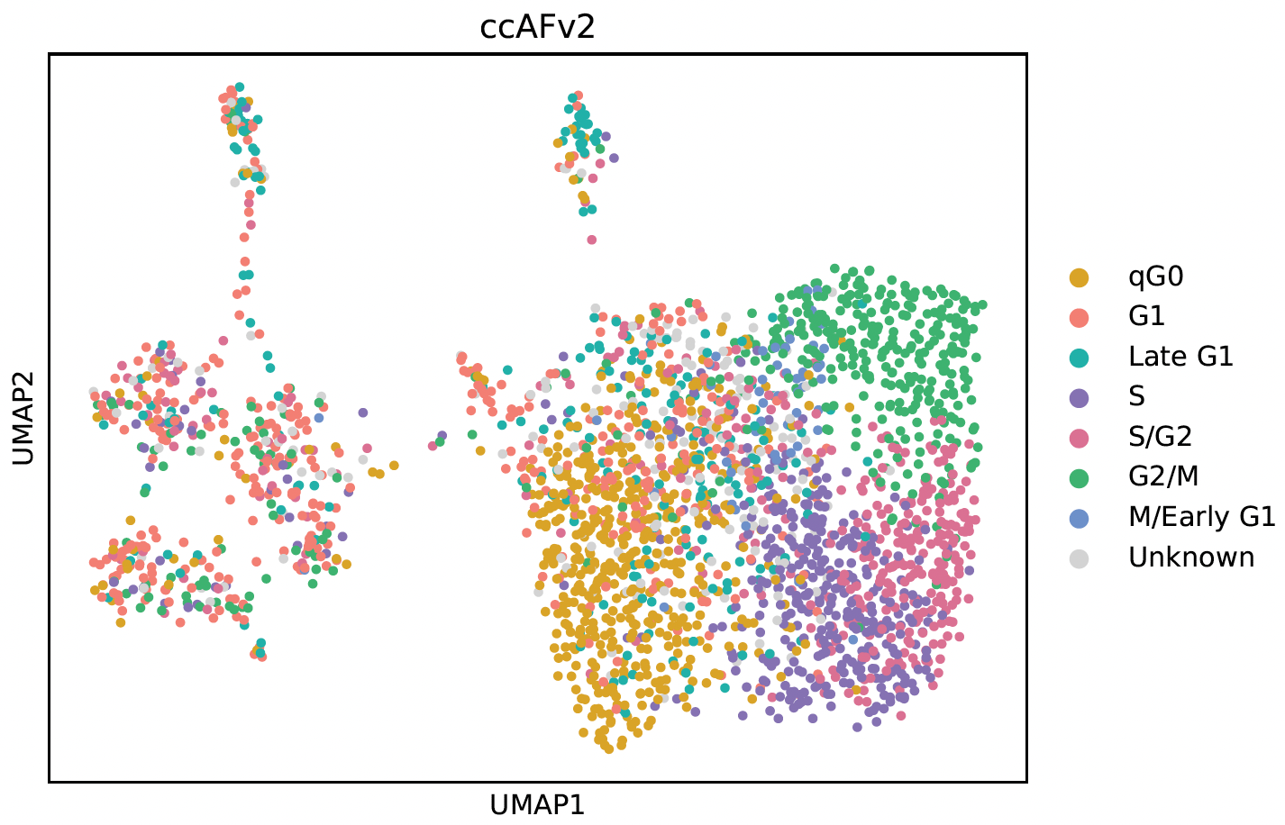 UMAP DimPlot colorized with ccAFv2 cell cycle states