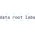 Avatar for datarootlabs from gravatar.com