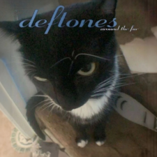 Avatar for zWolfrost from gravatar.com