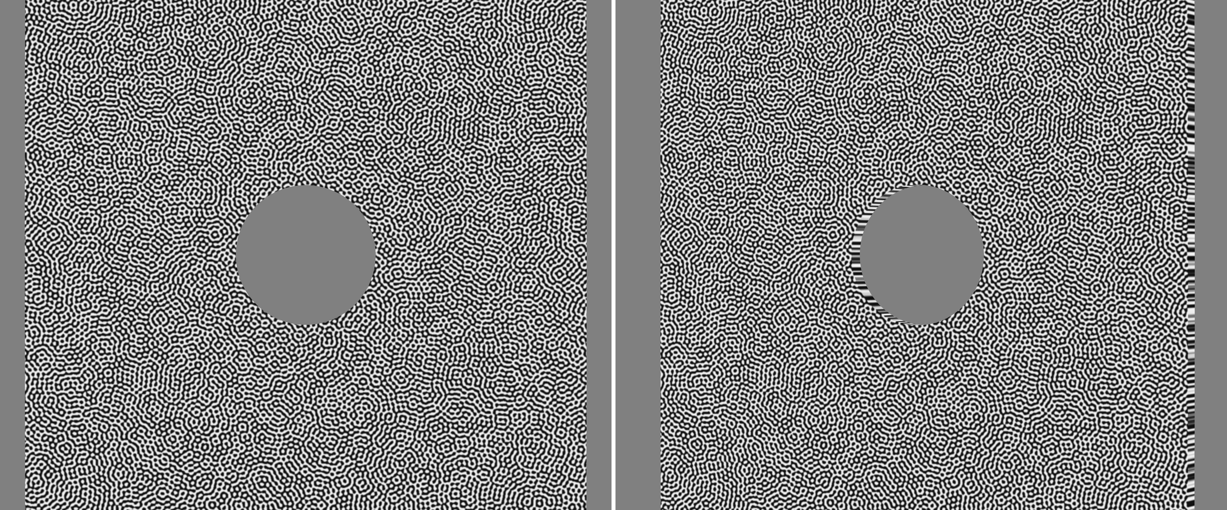 Riley render of a speckled plate with a hole