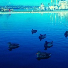 Avatar for Justin Dobbs from gravatar.com