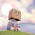 Avatar for eskerda from gravatar.com