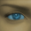 Avatar for eXpl0it3r from gravatar.com