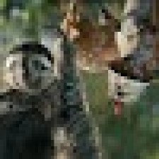 Avatar for Aryan from gravatar.com