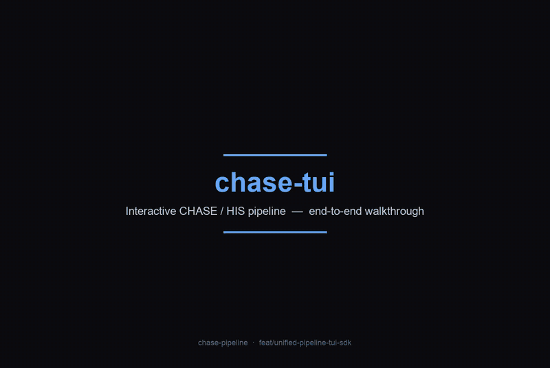 End-to-end chase-tui walkthrough
