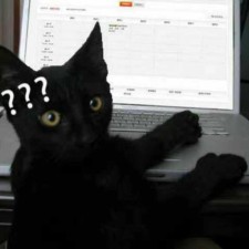 Avatar for zgy from gravatar.com