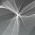 Avatar for spinxog from gravatar.com