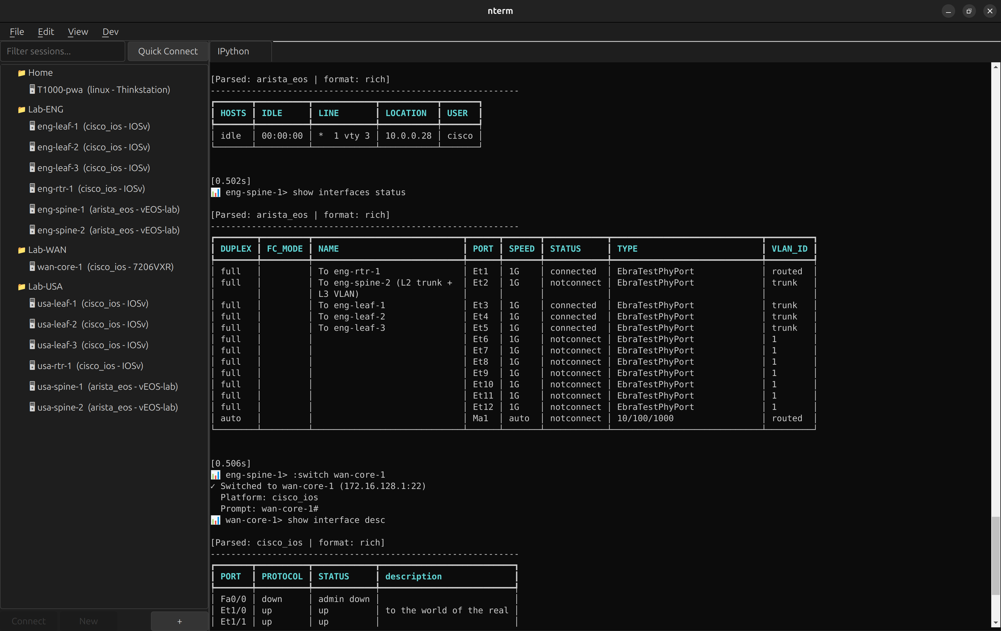 IPython Console