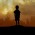 Avatar for mahir009 from gravatar.com