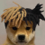 Avatar for tebirenn from gravatar.com