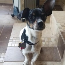 Avatar for Kaden Frisk from gravatar.com