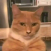 Avatar for woommy from gravatar.com