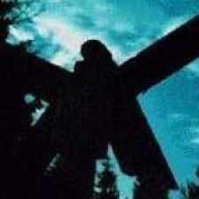 Avatar for Tomas Walch from gravatar.com