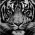 Avatar for kotaimen from gravatar.com