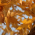 Avatar for deltaf from gravatar.com