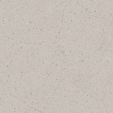 Recycled paper texture