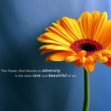 Avatar for BryanYang1987 from gravatar.com