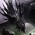 Avatar for anjishnu from gravatar.com