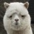 Avatar for JockeTF from gravatar.com