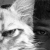 Avatar for benionclouds from gravatar.com