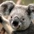 Avatar for ai-levup from gravatar.com
