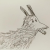 Avatar for rikettsie from gravatar.com