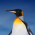 Avatar for ptdorf from gravatar.com