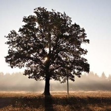 Avatar for Jen-Chieh Shen from gravatar.com