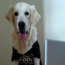 Avatar for Ana Filipe from gravatar.com