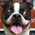 Avatar for scottidler from gravatar.com