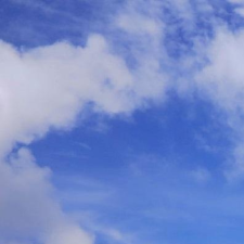 Avatar for qinyuyao from gravatar.com