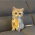 Avatar for Evil0ctal from gravatar.com